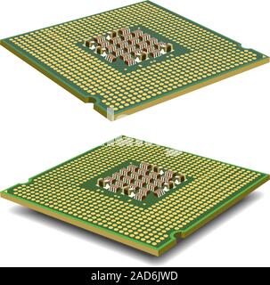 Computer  processor microcircuit isolated on a white background. Vector illustration. Stock Vector