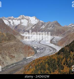 Autumn scene in Valais, Switzerland. Colorful forest, Aletsch glacier and mountains. Stock Photo