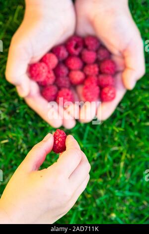 Giving You A Raspberry Woman giving a handful of raspberries Stock Photo - Alamy