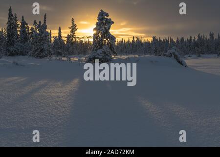 Winter landscape, Muddus National park, world heritage Laponia, Lapland, Sweden Stock Photo