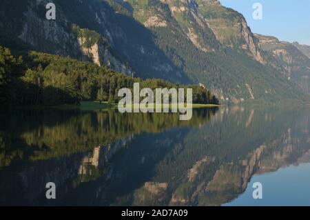 Green meadow and forest at lake Klontalersee, Switzerland. Camping site in Glarus canton. Stock Photo
