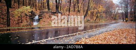 Wet highway in front of Euclid Creek in autumn, Ohio, USA Stock Photo