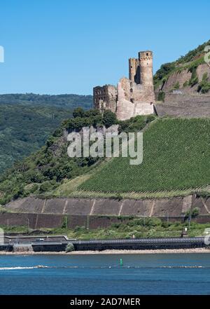 Ehrenfels castle ruins on the Rhine near Rüdesheim opposite Bingen on the Rhine river, Hesse, Germa Stock Photo