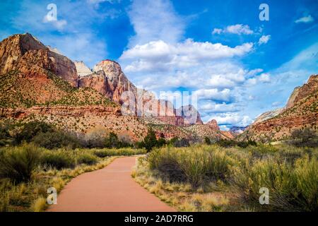 A forest trail with the sun shining through the foliage in Zion National Park, Utah Stock Photo