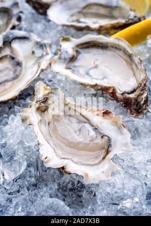Fresh opened oyster with sliced lemon offered as top view on crushed ice Stock Photo