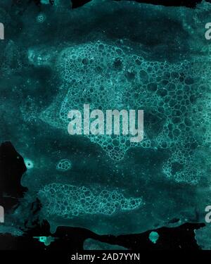 Abstract grunge cellular background Stock Photo