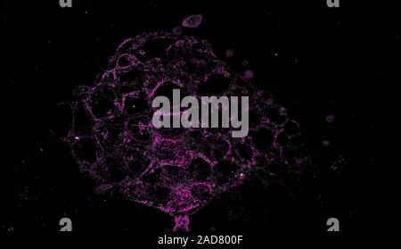 Abstract grunge cellular background Stock Photo