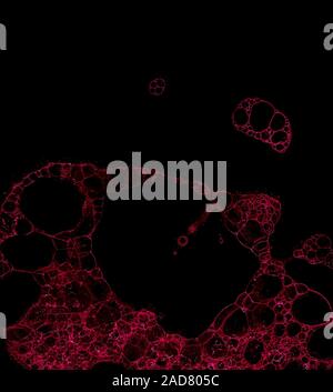 Abstract grunge cellular background Stock Photo