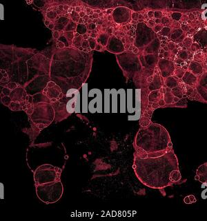 Abstract grunge cellular background Stock Photo