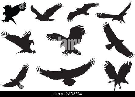 Flying Eagle silhouette vector Stock Vector