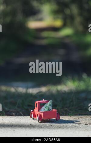 Christmas in Florida concept.  Red toy truck hauls a tree down a wooded path in Lake Louisa State Park near Orlando, Florida. Stock Photo