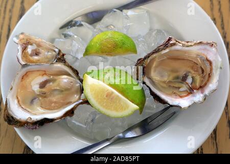 Fresh oysters on ice with lemon Stock Photo