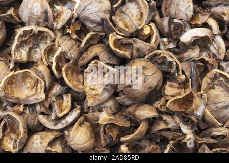 close up view of shattered walnut shells. Textured background of drought walnut shells Stock Photo