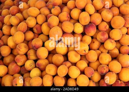 apricots Stock Photo