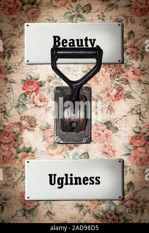 Street Sign Beauty versus Ugliness Stock Photo