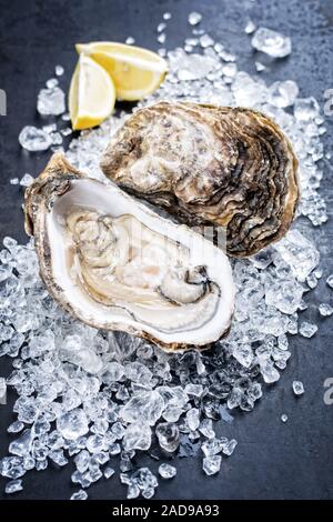 Fresh rock oyster offered as closeup opened with sliced lemon on crushed ice Stock Photo