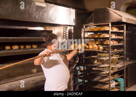 bakery worker taking out freshly baked breads Stock Photo