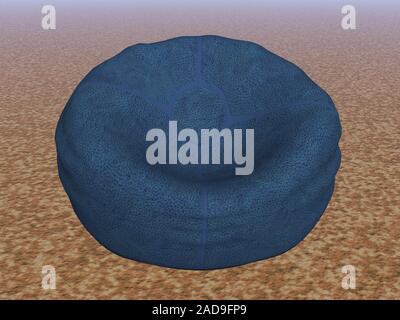 blue beanbag made of leather Stock Photo