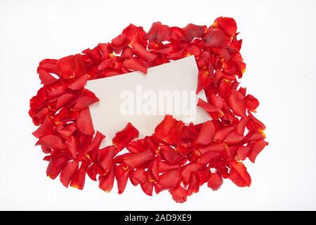 Roses And Letter Stock Photo