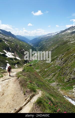 Hiking trail up to the Birnlücken hut, Ahrntal, South Tyrol Stock Photo