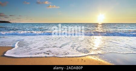 Summer on the sea beach. Element of design Stock Photo - Alamy