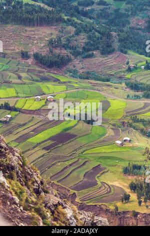 Agriculture Terraced Fields In Ethiopia Stock Photo Alamy