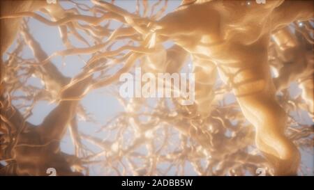 Journey through a neuron cell network inside the brain Stock Photo