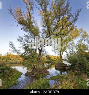 Elbsche river mouth in the Ruhr river near Wengern, Wetter, Ruhr Area, Germany, Europe Stock Photo