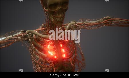 CG Animation Of A Sick Human Heart Stock Photo