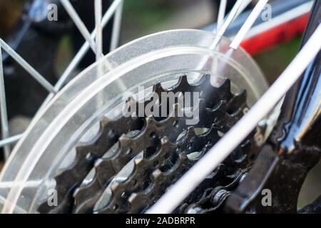 masters, lubricate the bicycle chain of a mountain bike with a special lubricant in the home workshop. Cleaning and lubricating the bicycle chain and Stock Photo