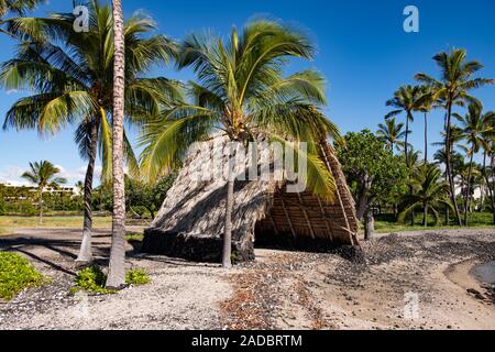 traditional thatched building built in between palm trees on the beach Maui, Hawaii, USA Stock Photo