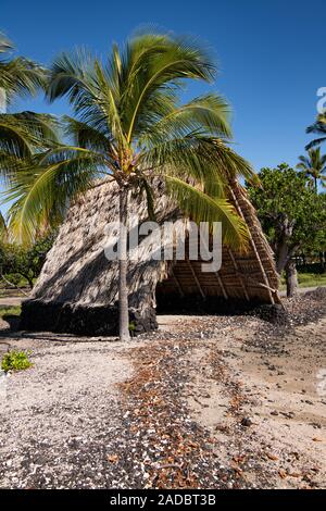 Thatched island shelter with palm trees and blue skies Maui, Hawaii, USA Stock Photo