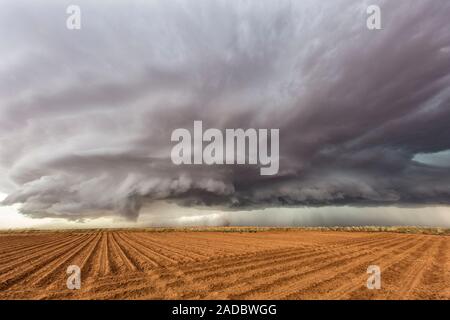 Supercell thunderstorm over rural Texas, USA. This severe storm produced clouds with visible striations over cotton fields. A supercell thunderstorm i Stock Photo