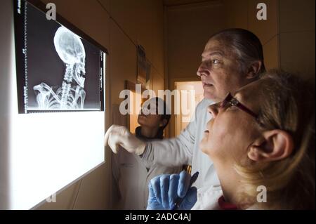 Peruvian mummy, X-ray research. Geneticist Coralee Castillo (left), forensic anthropologist Angel Minaya (centre) and researcher Mercedes Gonzalez (ri Stock Photo