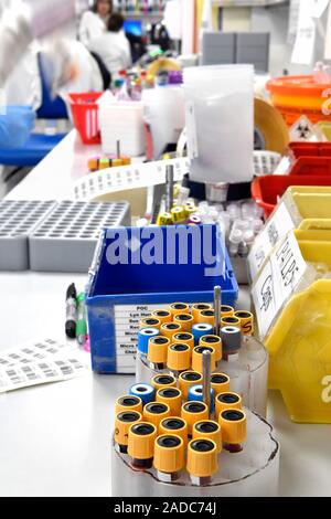 Samples in a pathology laboratory. Colour-coded samples that are being analysed in a pathology laboratory. Samples of human tissue and blood are analy Stock Photo