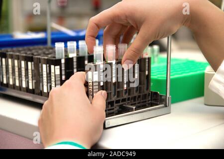 Blood sample analysis. Blood samples being analysed in a medical laboratory. These blood samples are in containers called monovettes. Blood is analyse Stock Photo