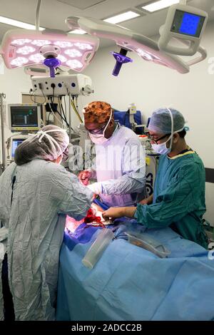 Intestinal surgery. Surgical team operating to remove part of a patient's intestines. The team includes a specialist in colorectal cancer surgery. Pho Stock Photo