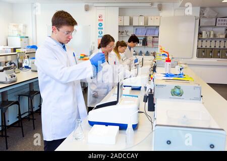 Chemistry students in an undergraduate teaching laboratory carrying out experiments using UV spectrometers. Stock Photo