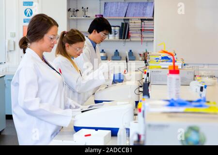 Chemistry students in an undergraduate teaching laboratory carrying out experiments using UV spectrometers. Stock Photo