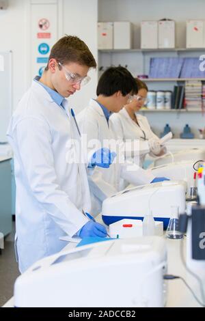 Chemistry students in an undergraduate teaching laboratory carrying out experiments using UV spectrometers. Stock Photo