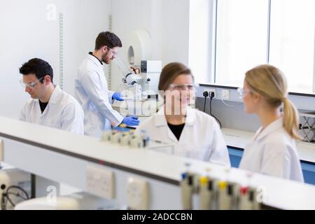 Chemistry students in an undergraduate teaching laboratory, working and talking together at a lab bench in the foreground and a student using a rotary Stock Photo
