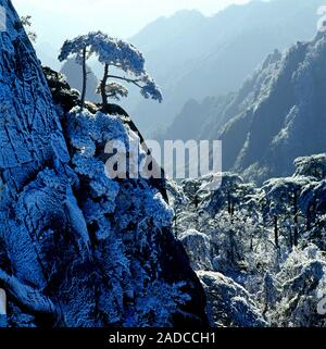 Huangshan city in anhui province huangshan mountain snow Stock Photo