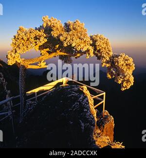 Huangshan sunrise Stock Photo