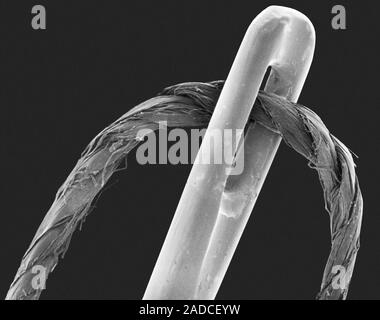 Scanning electron micrograph (SEM) of Polyester thread in the eye of a sewing needle. A sewing needle is used in sewing to pull thread through fabric. Stock Photo