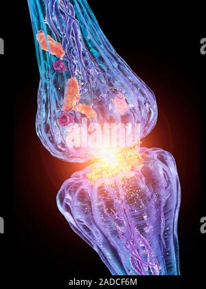 Nerve synapse. Computer artwork of a junction, or synapse, between two nerve cells (neurons, blue). As the electrical signal reaches the presynaptic e Stock Photo