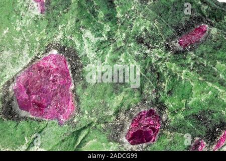 Polished specimen showing rough ruby (purple) enclosed in a matrix of Zoisite (green). Ruby is a reddish purple variety of corundum, a crystalline alu Stock Photo