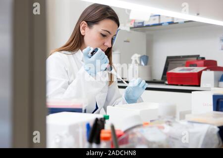 Stem cell research. Researcher working with stem cells in an embryology laboratory. This team of scientists from Cambridge University, UK, have create Stock Photo