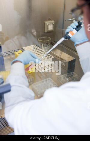 Stem cell research. Researcher working with stem cells in an embryology laboratory. This team of scientists from Cambridge University, UK, have create Stock Photo