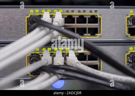Close-up of ethernet ports and cables in the back of servers in a data centre. Photographed at the University of Dundee, Scotland, UK. Stock Photo