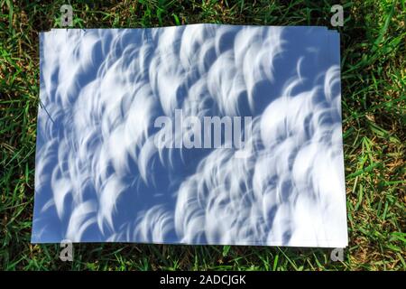 Shadow effects under a tree during the partial phase of the total solar eclipse of August 21st 2017. Normally Sun spots in the shadow of a tree appear Stock Photo